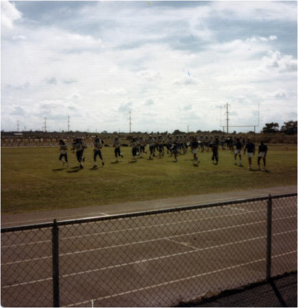 Panthers Take the Field!