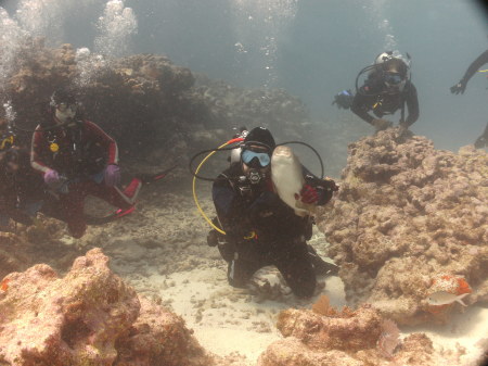 Sarah Lenoir's album, Key West Jan 201