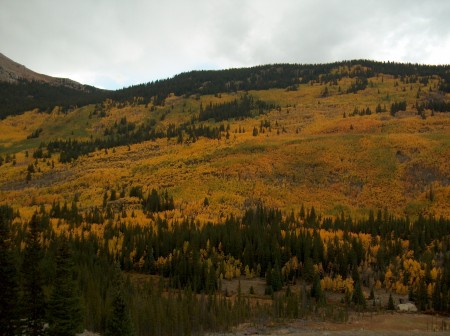 There is gold in Colorado