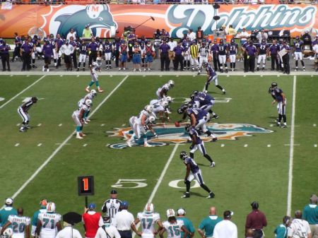 Dolphins Game