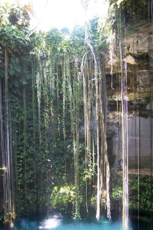 A better view of the Cenote