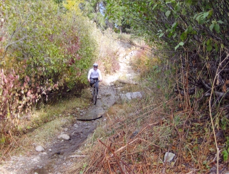 mountain biking