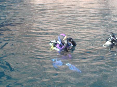 Scuba Diving In Catalina