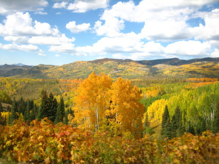 Fall colors in Steamboat Springs, CO