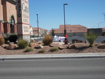 Trash in front of work