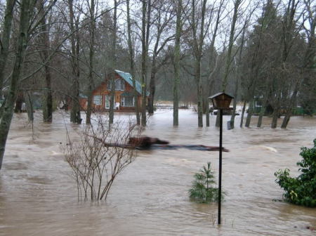 The Deschutes River in flood stage