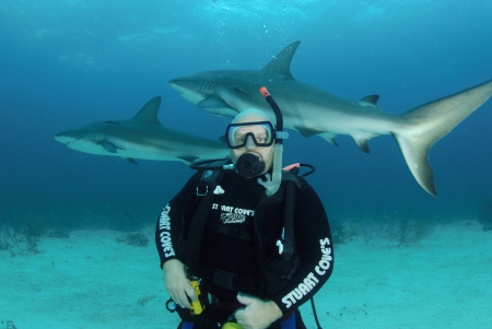 Shark Dive Bahamas