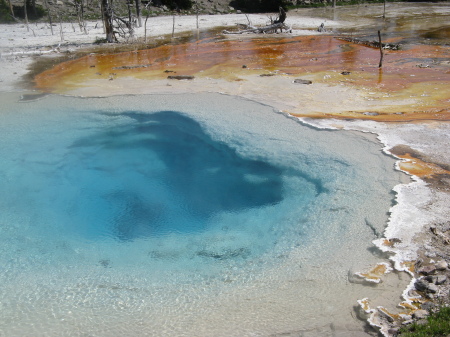 a Yellowstone mineral pool