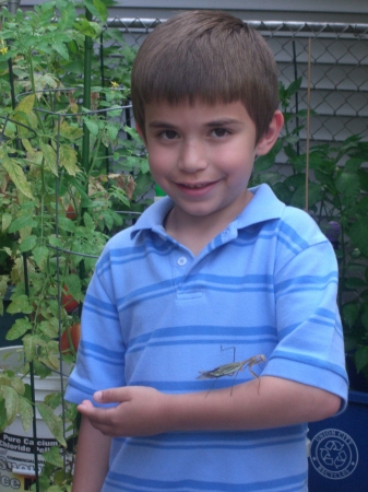 Kyle & his praying mantis