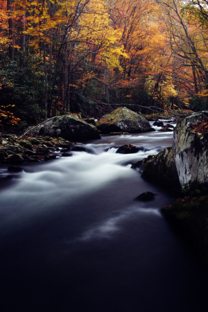 Smokies in the fall