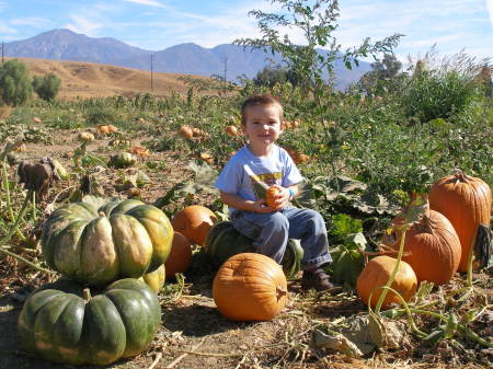 My grandson at the Pumpkin Patch 10/08