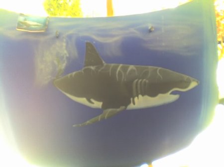 great white shark air brush