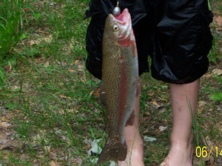 ~Rainbow Trout from the Merrimack River~