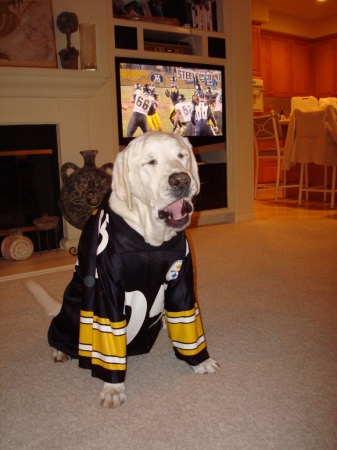 here we go Steelers, here we go!