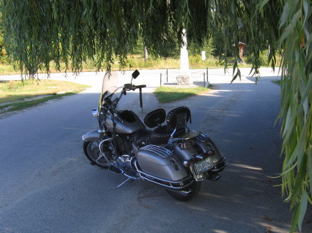 THE BIKE AT REST UNDER A GIANT WEEPING WILLOW