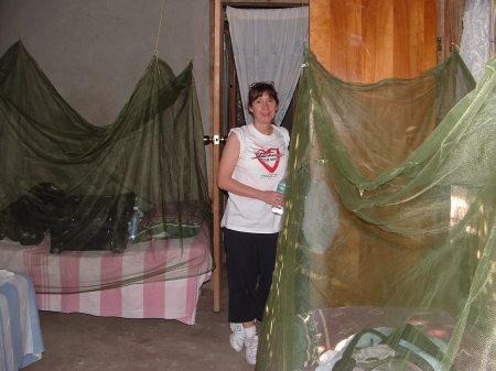 mosquito nets are good!