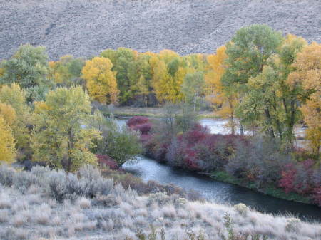 Fall colors along the "Yakima" River