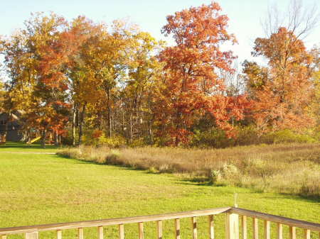 View from our deck.