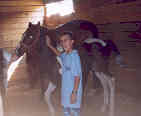 Josh with his horse