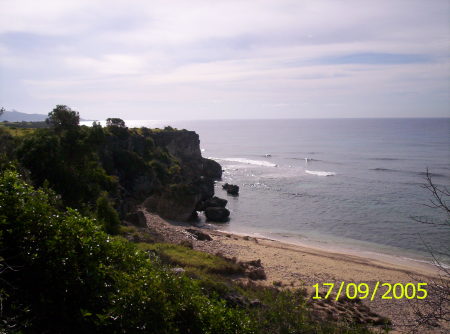 Chapman Beach 2007