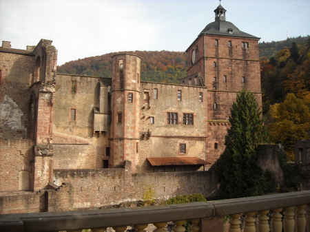 heidelberg 117