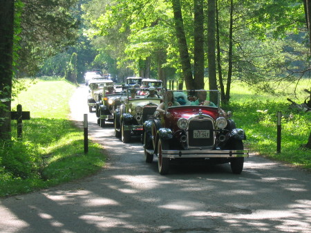 Cade's Cove Tour-SOCI 2008 Convention