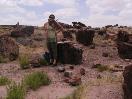 On a windy day at the Painted Desert.