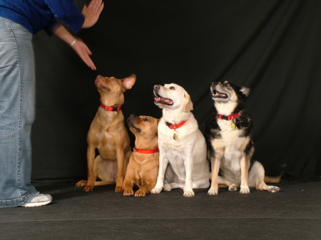 Kat, Buddy, Dallas and Sandi