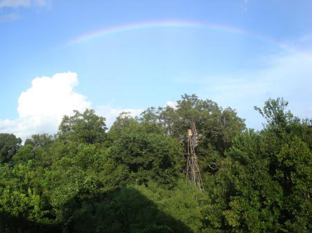 Cool Rainbow on the Back Patio