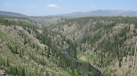 Yellowstone