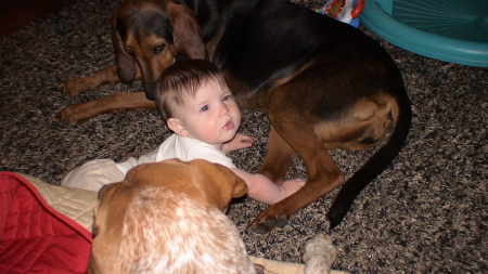 Lily with her dogs.