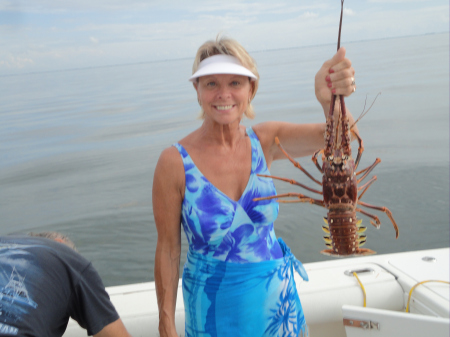 diving for Lobster in the florida keys