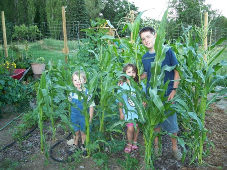 My little children of the corn