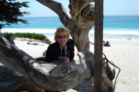 carmel 2008 004