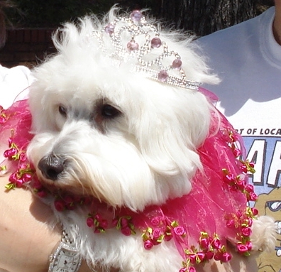 2008 Queen of Do Dah Day Parade