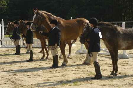 June 2008 Freestate Show