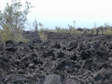 lava field