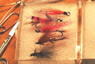 salmon Flies