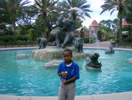Lil Damon chilin at the Zoo