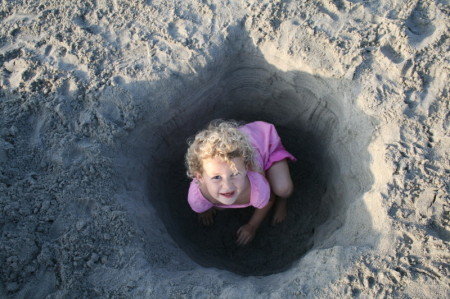 lily in hole