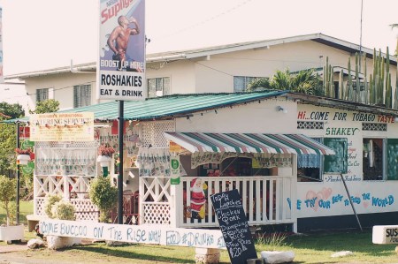 2006, island of Tobago (toe-BAY-go)