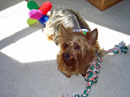 Bennie with his toys.