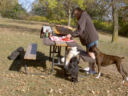 peru bike ride autumn drive wdogs 053