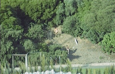 SBHS 1980 Graduation Streakers