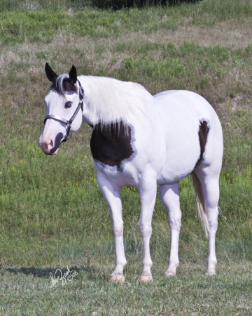 Dakota