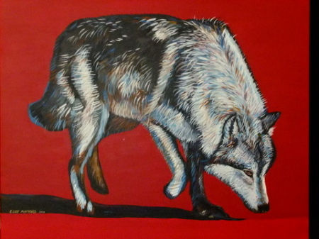 Red Wolf - 1