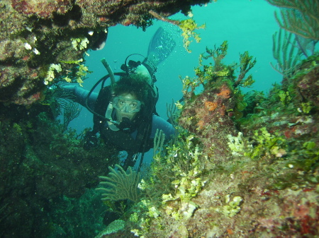 Andros Reef