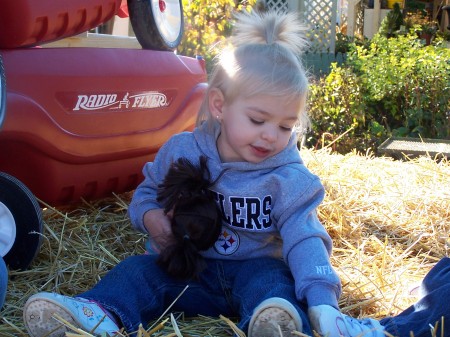 Pumpkin patch 2008