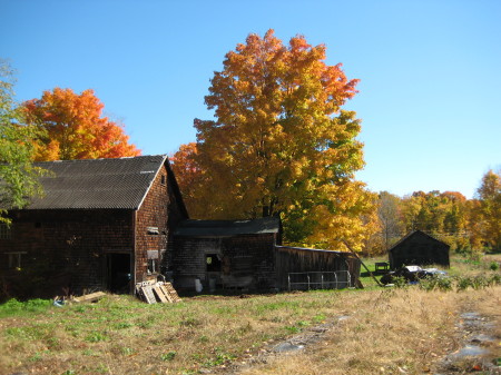 the laughing crow farm