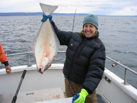 Alaska Halibut 2008